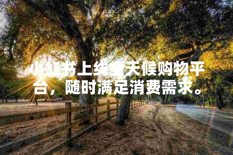 小红书上线全天候购物平台，随时满足消费需求。