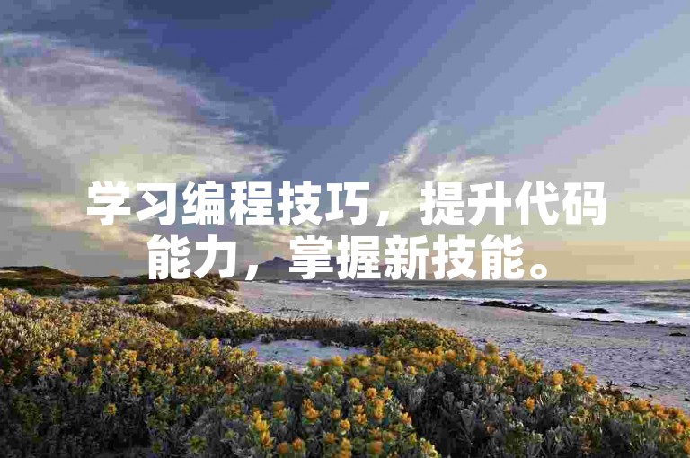 学习编程技巧，提升代码能力，掌握新技能。