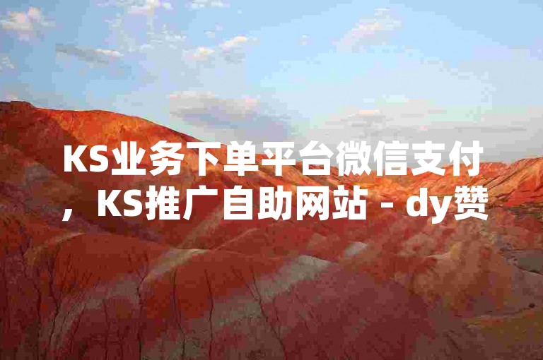 KS业务下单平台微信支付，KS推广自助网站 - dy赞业务 - 评论下单平台热血重燃！