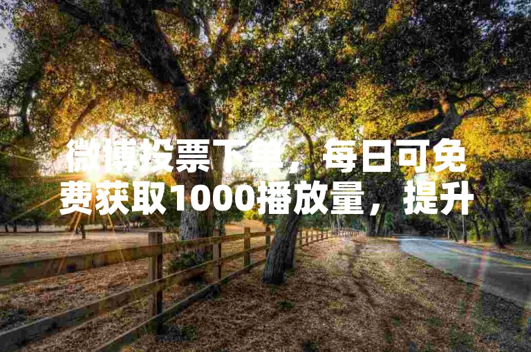 微博投票下单，每日可免费获取1000播放量，提升QQ空间人气。
