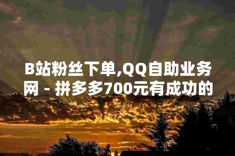 B站粉丝下单,QQ自助业务网 - 拼多多700元有成功的吗 - qq卡会员永久免费