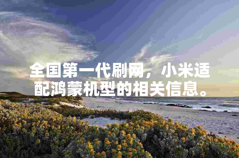 全国第一代刷网，小米适配鸿蒙机型的相关信息。