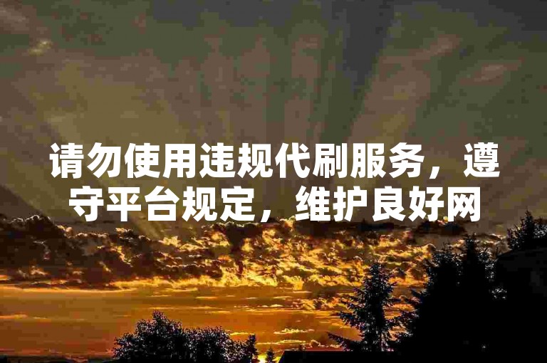 请勿使用违规代刷服务，遵守平台规定，维护良好网络环境。