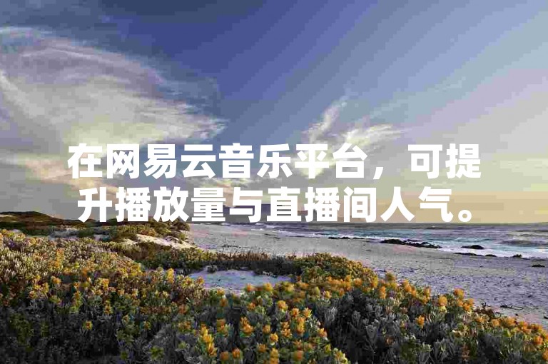 在网易云音乐平台，可提升播放量与直播间人气。