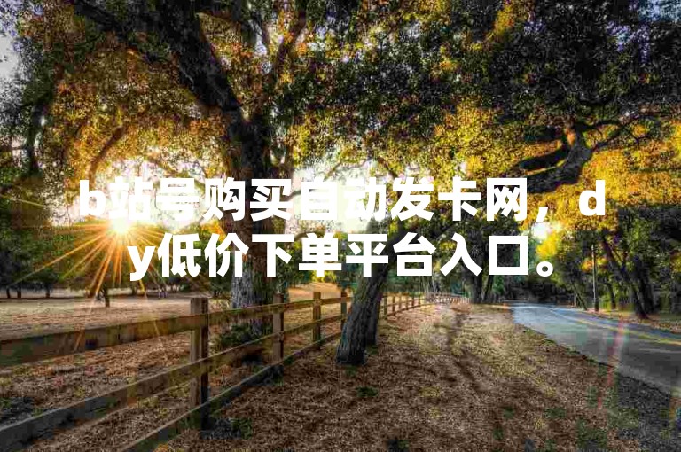 b站号购买自动发卡网，dy低价下单平台入口。