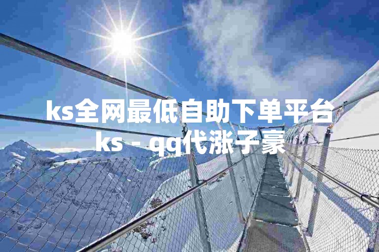 ks全网最低自助下单平台ks - qq代涨子豪