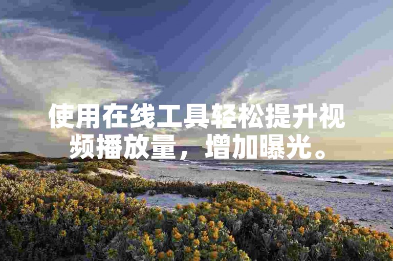 使用在线工具轻松提升视频播放量，增加曝光。