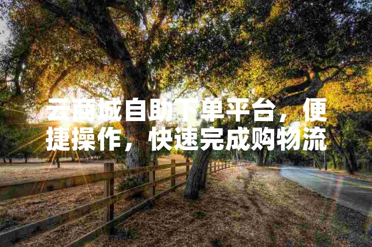 云商城自助下单平台，便捷操作，快速完成购物流程。