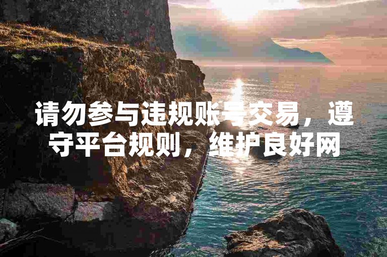 请勿参与违规账号交易，遵守平台规则，维护良好网络环境。