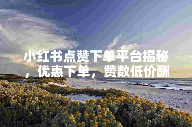 小红书点赞下单平台揭秘，优惠下单，赞数低价酬宾，2025必学！