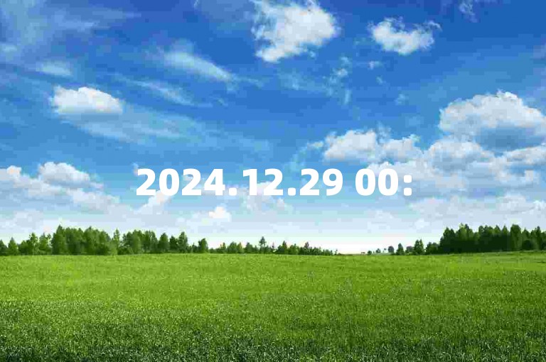 2024.12.29 00:55，请勿尝试秒刷粉丝，以免违规。