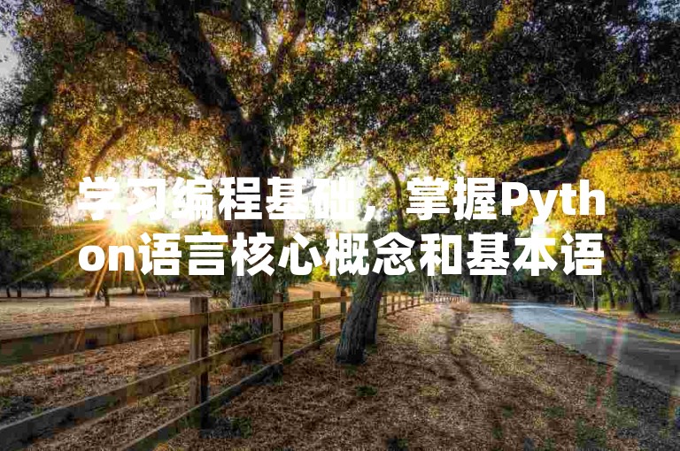 学习编程基础，掌握Python语言核心概念和基本语法。