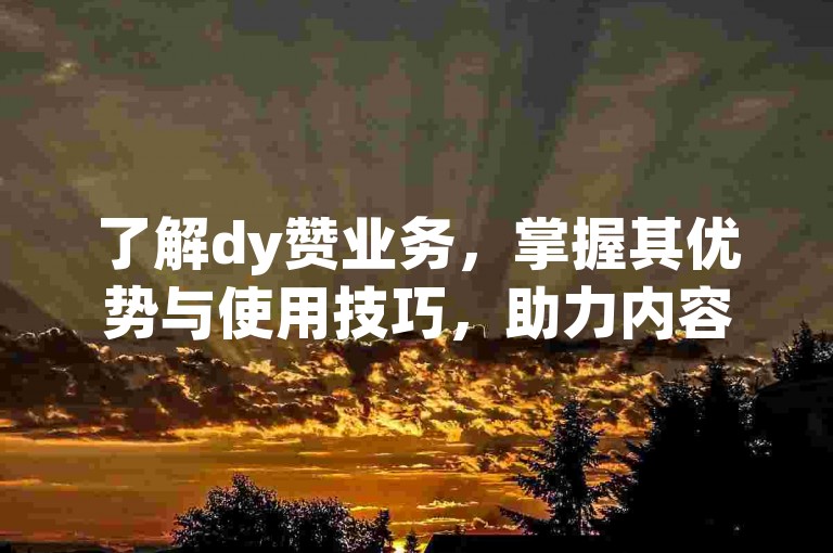 了解dy赞业务，掌握其优势与使用技巧，助力内容推广。