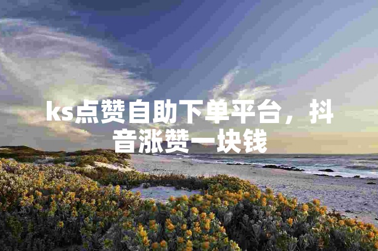 ks点赞自助下单平台，抖音涨赞一块钱500个赞。