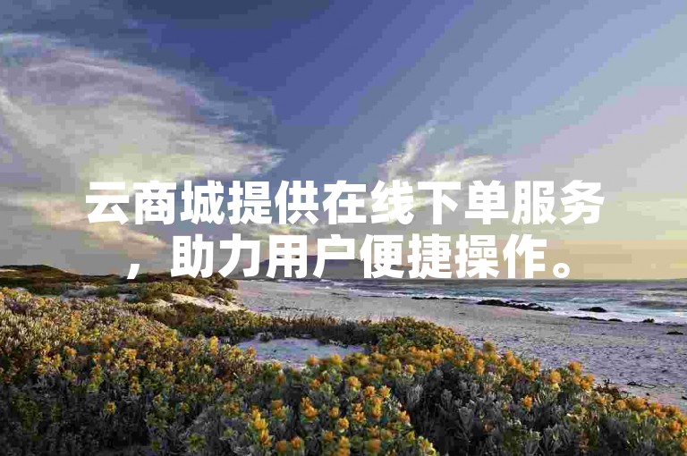 云商城提供在线下单服务，助力用户便捷操作。