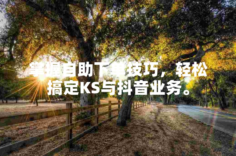 掌握自助下单技巧，轻松搞定KS与抖音业务。
