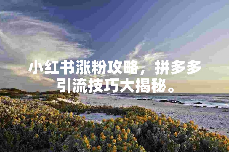 小红书涨粉攻略，拼多多引流技巧大揭秘。