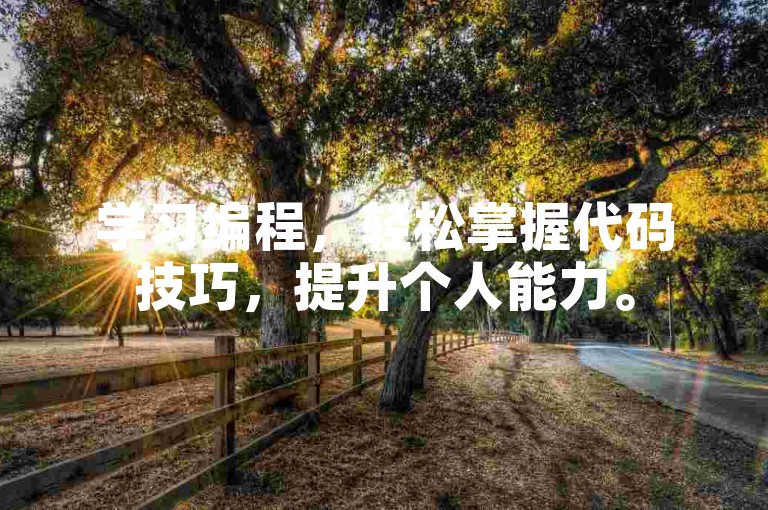 学习编程，轻松掌握代码技巧，提升个人能力。