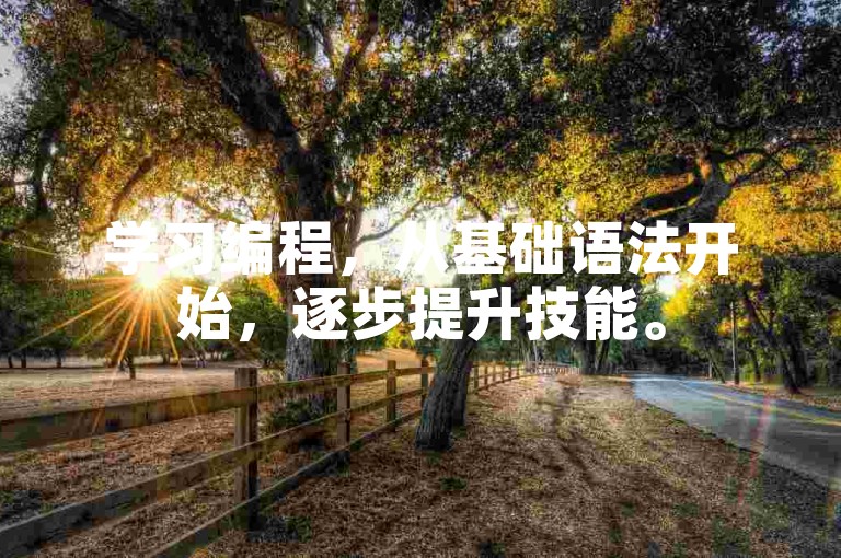 学习编程，从基础语法开始，逐步提升技能。