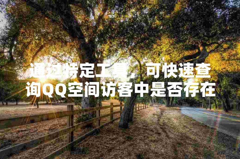 通过特定工具，可快速查询QQ空间访客中是否存在重名情况。