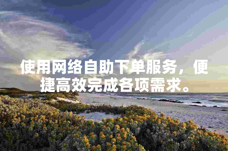 使用网络自助下单服务，便捷高效完成各项需求。