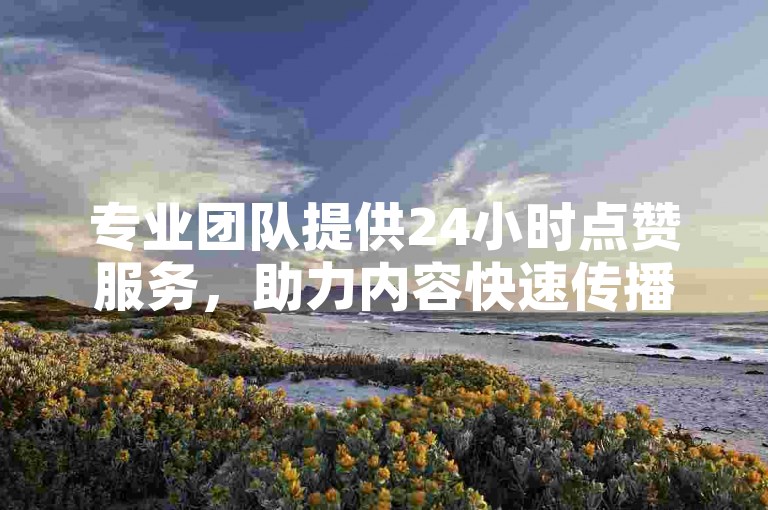 专业团队提供24小时点赞服务，助力内容快速传播。