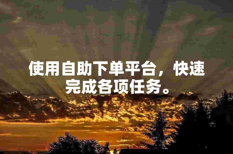使用自助下单平台，快速完成各项任务。