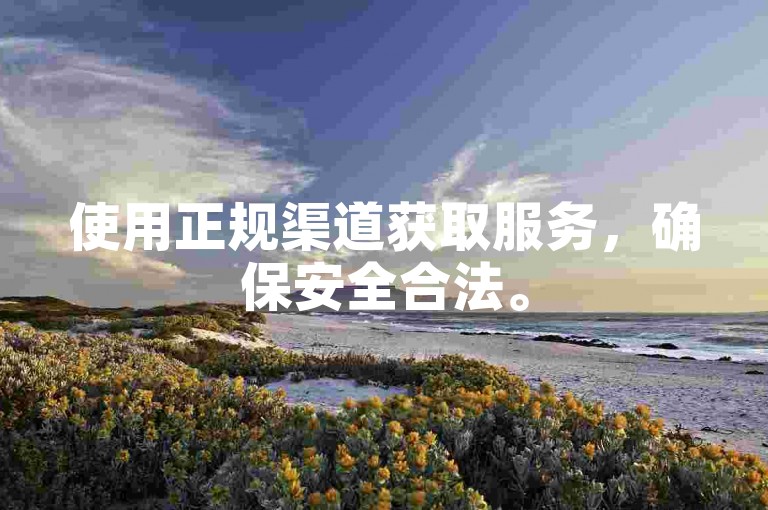 使用正规渠道获取服务，确保安全合法。