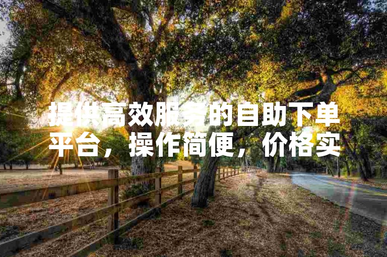 提供高效服务的自助下单平台，操作简便，价格实惠。
