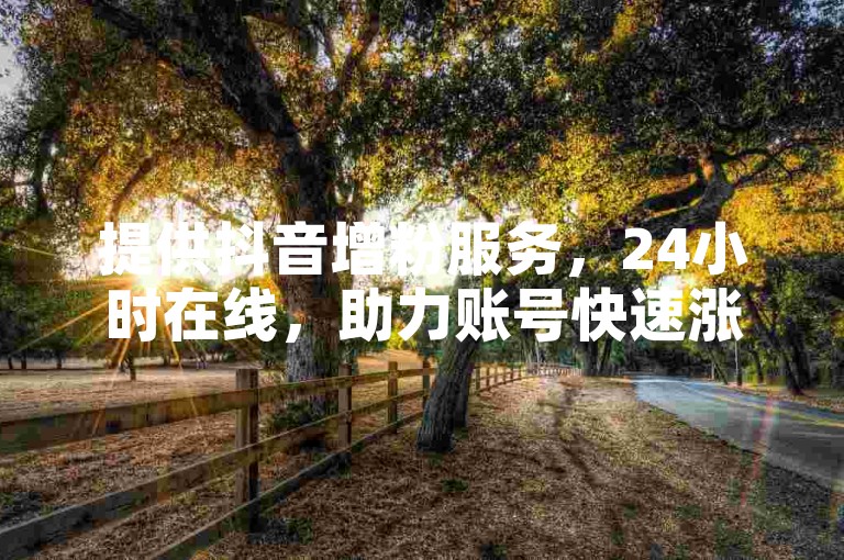 提供抖音增粉服务，24小时在线，助力账号快速涨粉。