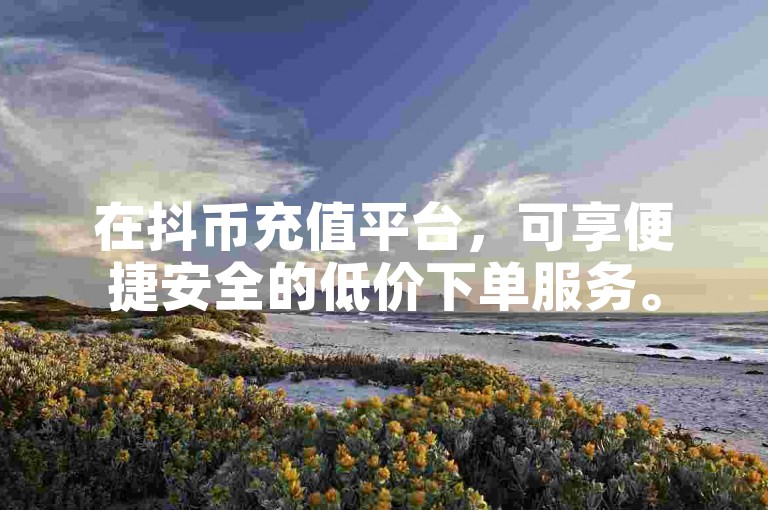在抖币充值平台，可享便捷安全的低价下单服务。