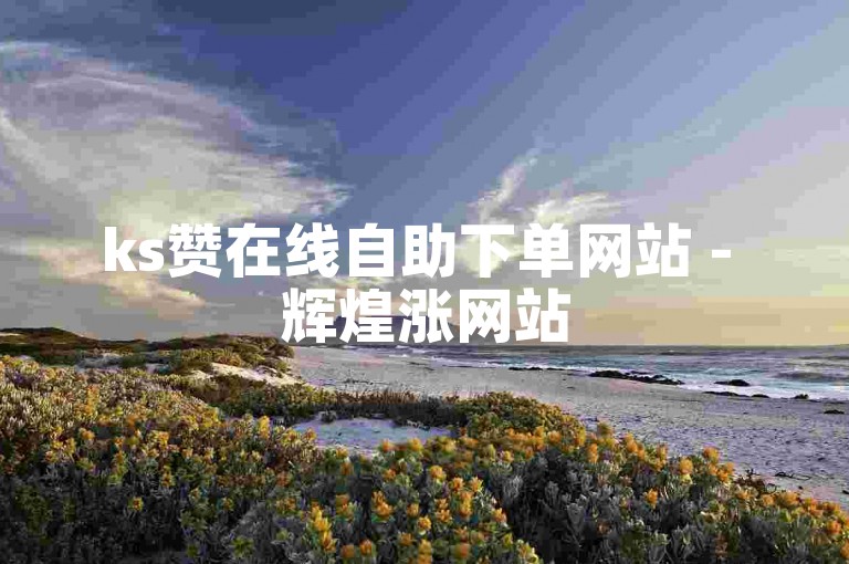 ks赞在线自助下单网站 - 辉煌涨网站