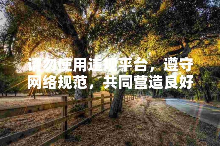 请勿使用违规平台，遵守网络规范，共同营造良好环境。