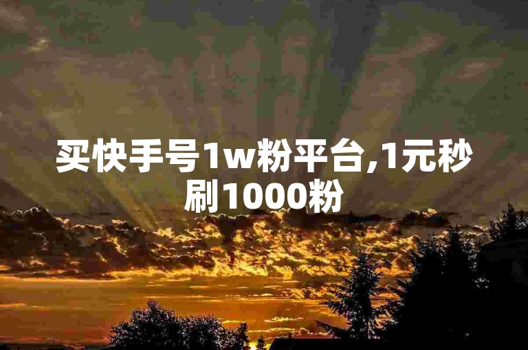 买快手号1w粉平台,1元秒刷1000粉