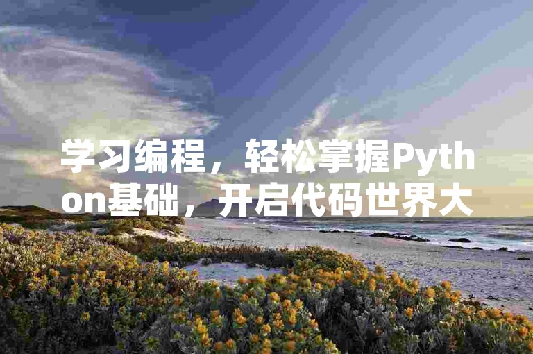 学习编程，轻松掌握Python基础，开启代码世界大门。