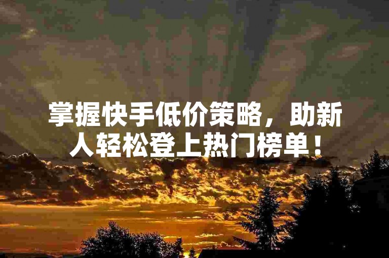 掌握快手低价策略，助新人轻松登上热门榜单！