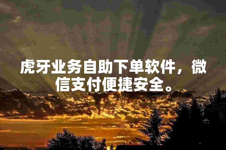 虎牙业务自助下单软件，微信支付便捷安全。