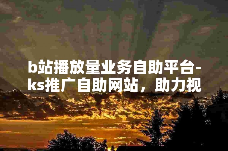 b站播放量业务自助平台-ks推广自助网站，助力视频曝光。