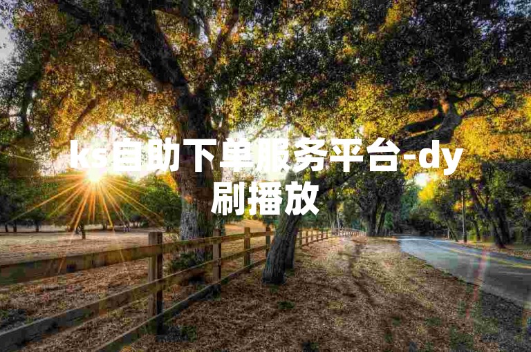 ks自助下单服务平台-dy刷播放