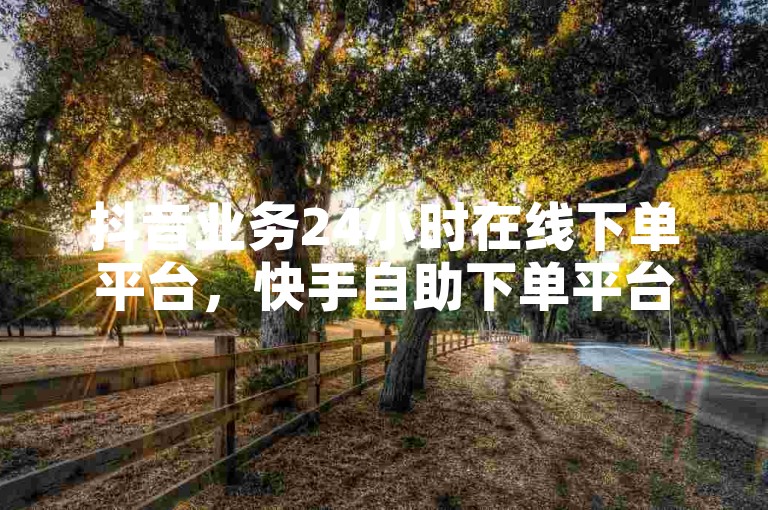 抖音业务24小时在线下单平台，快手自助下单平台在山东。