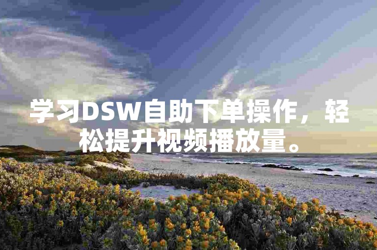 学习DSW自助下单操作，轻松提升视频播放量。