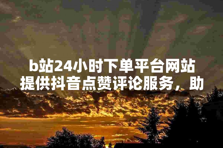 b站24小时下单平台网站提供抖音点赞评论服务，助力内容推广。