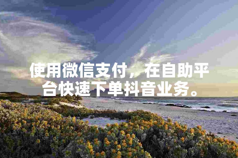 使用微信支付，在自助平台快速下单抖音业务。