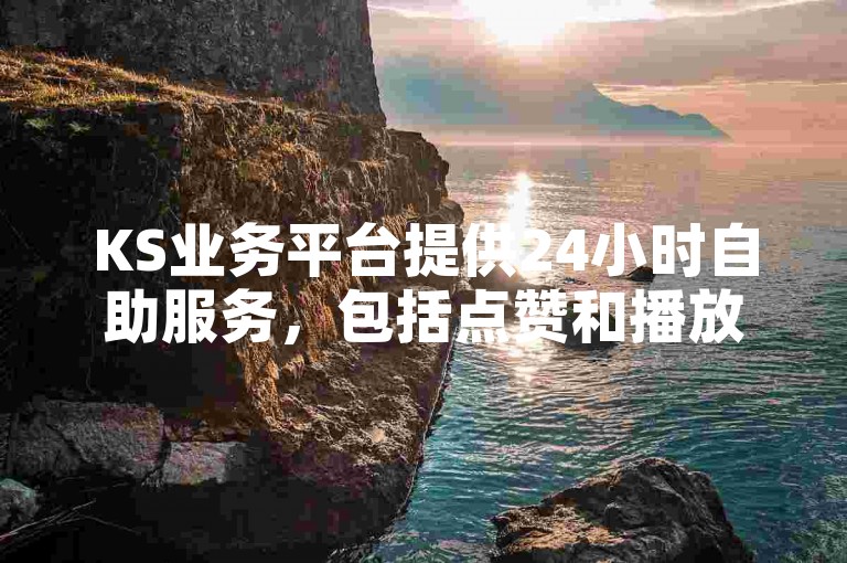 KS业务平台提供24小时自助服务，包括点赞和播放量。