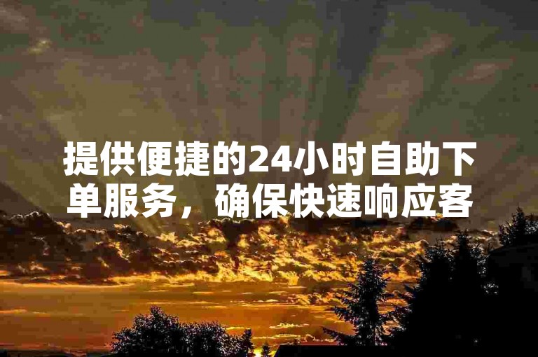 提供便捷的24小时自助下单服务，确保快速响应客户需求。