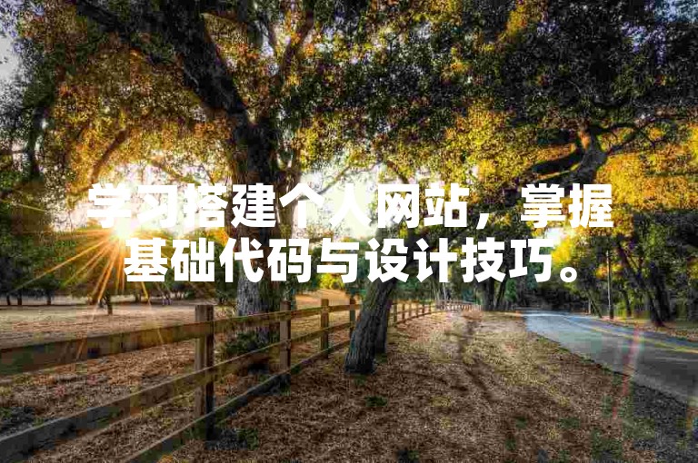 学习搭建个人网站，掌握基础代码与设计技巧。