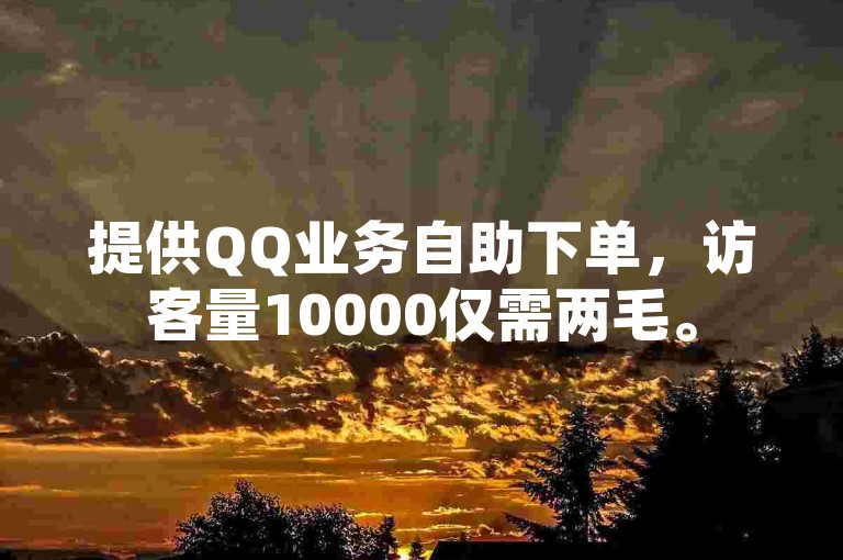 提供QQ业务自助下单，访客量10000仅需两毛。