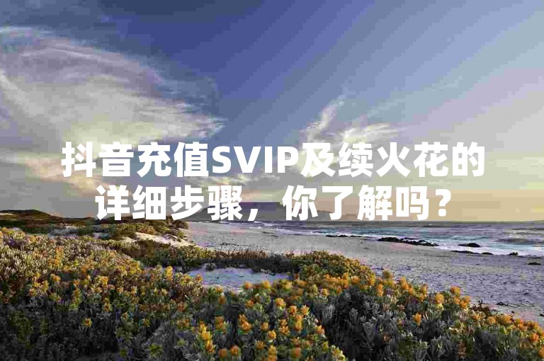 抖音充值SVIP及续火花的详细步骤，你了解吗？