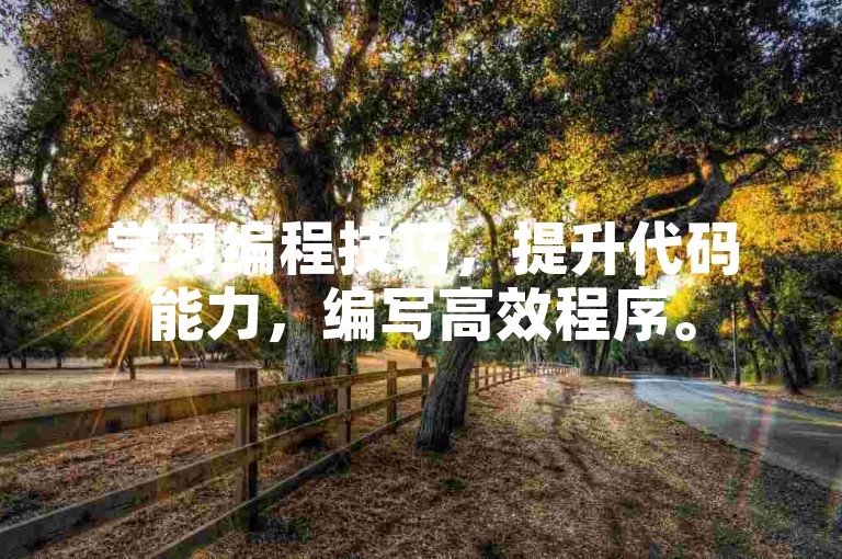 学习编程技巧，提升代码能力，编写高效程序。