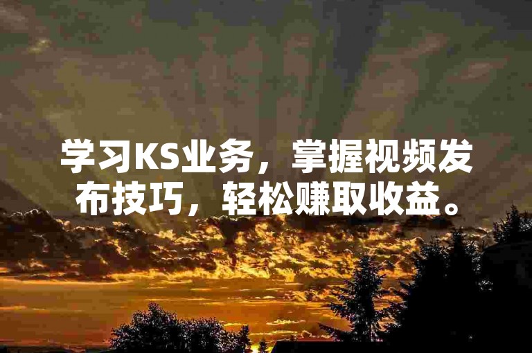 学习KS业务，掌握视频发布技巧，轻松赚取收益。